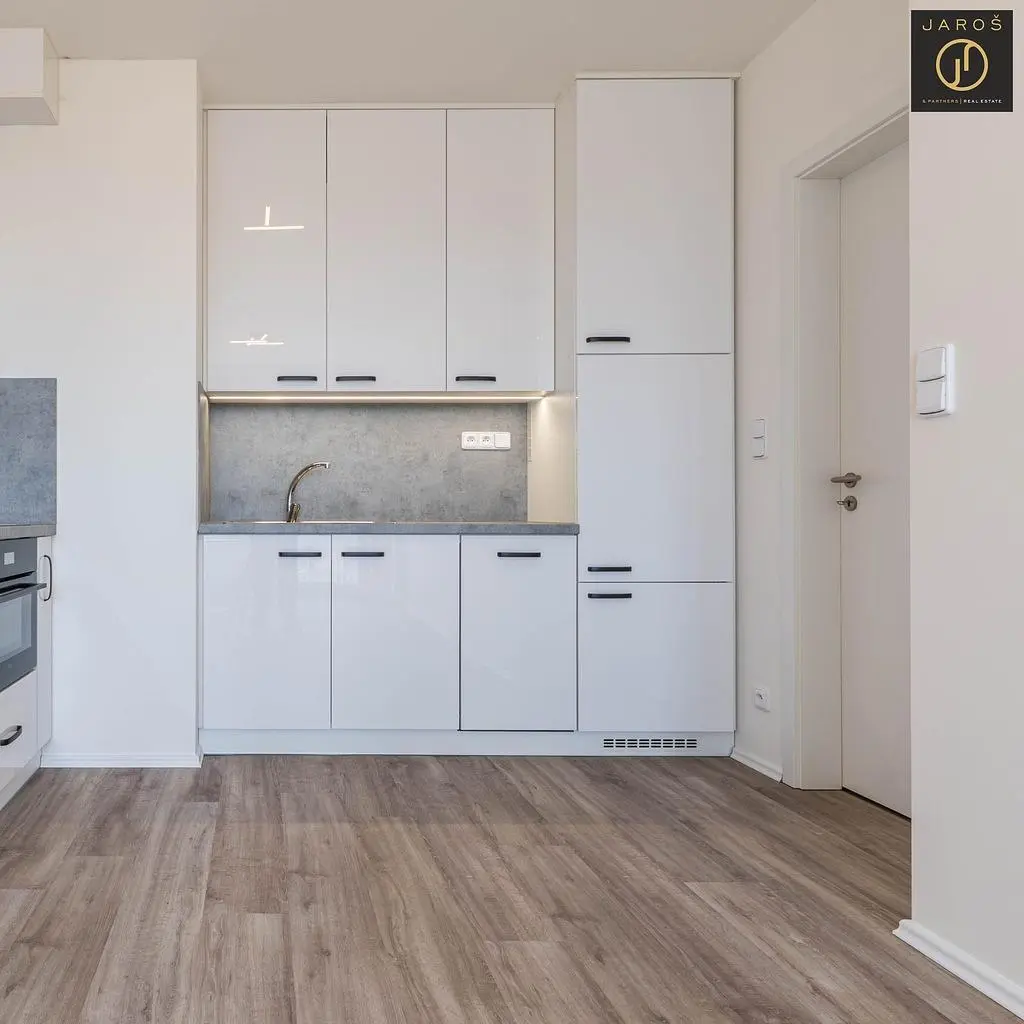 Kitchen; kitchen appliances, wood floor, natural light, modern style