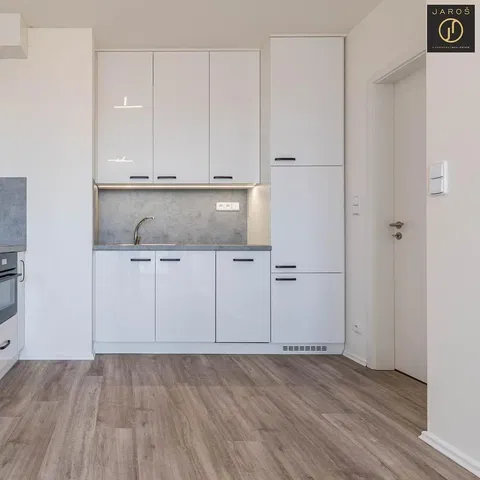Kitchen; kitchen appliances, wood floor, natural light, modern style