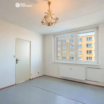 Kuchyně; kuchyňské spotřebiče, dřevěná podlaha, přirozené světlo, moderní styl