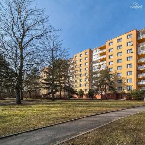 Кухня; кухненски уреди, дървен под, естествена светлина, модерен стил