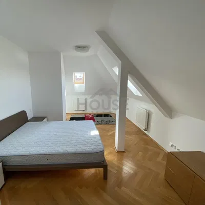 Kitchen; kitchen appliances, wood floor, natural light, modern style