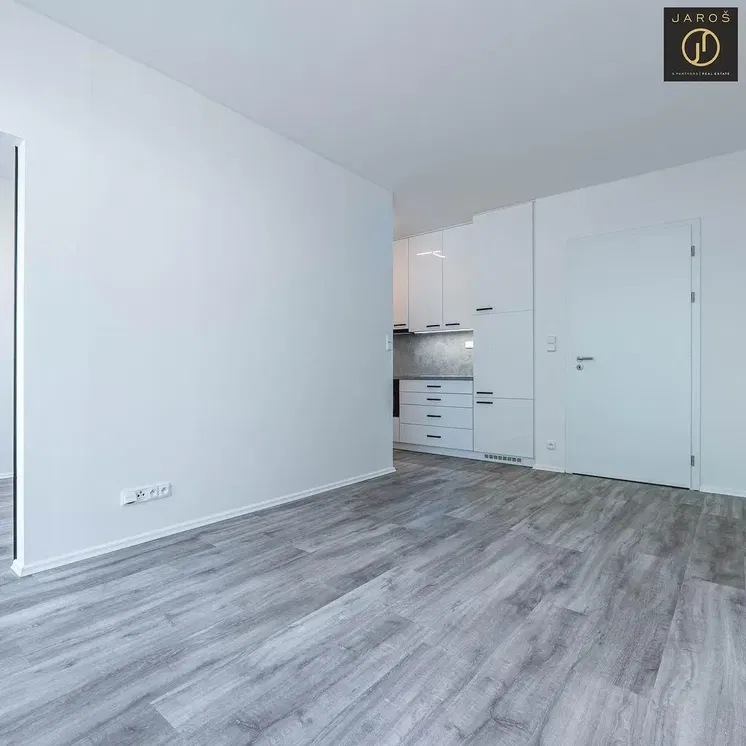 Кухня; кухненски уреди, дървен под, естествена светлина, модерен стил