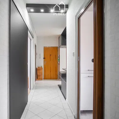 Kuchyně; kuchyňské spotřebiče, dřevěná podlaha, přirozené světlo, moderní styl