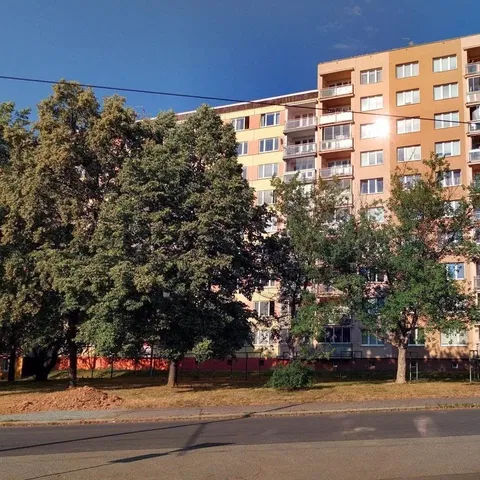 Kitchen; kitchen appliances, wood floor, natural light, modern style