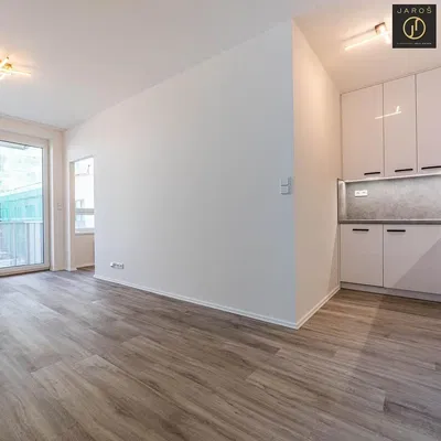 Кухня; кухненски уреди, дървен под, естествена светлина, модерен стил