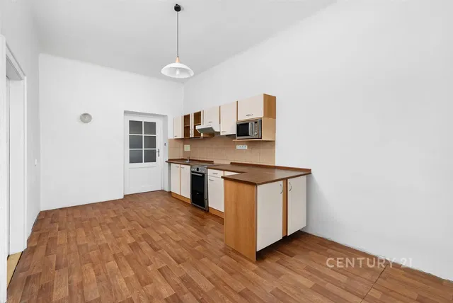 Kitchen; kitchen appliances, wood floor, natural light, modern style