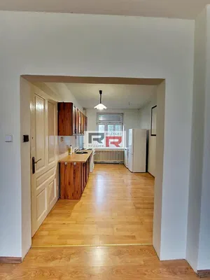 Living room; wood floor, natural light, modern style