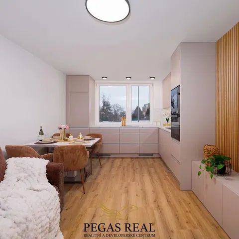 Kitchen; kitchen appliances, wood floor, natural light, modern style