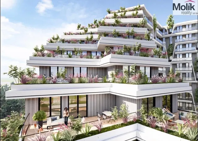 Kitchen; kitchen appliances, wood floor, natural light, modern style