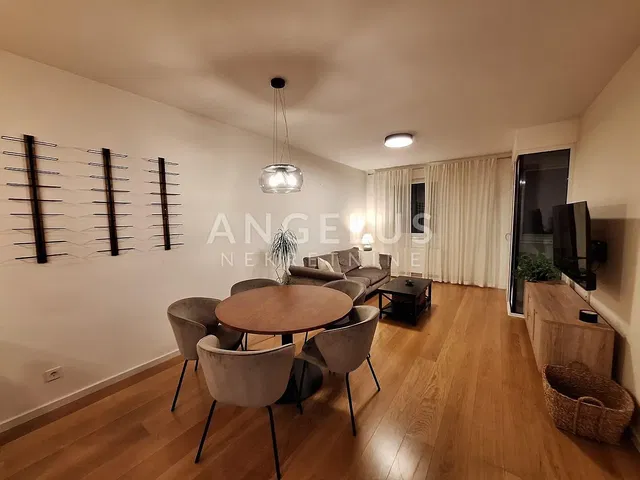 Salon; parquet, style moderne, lumière naturelle