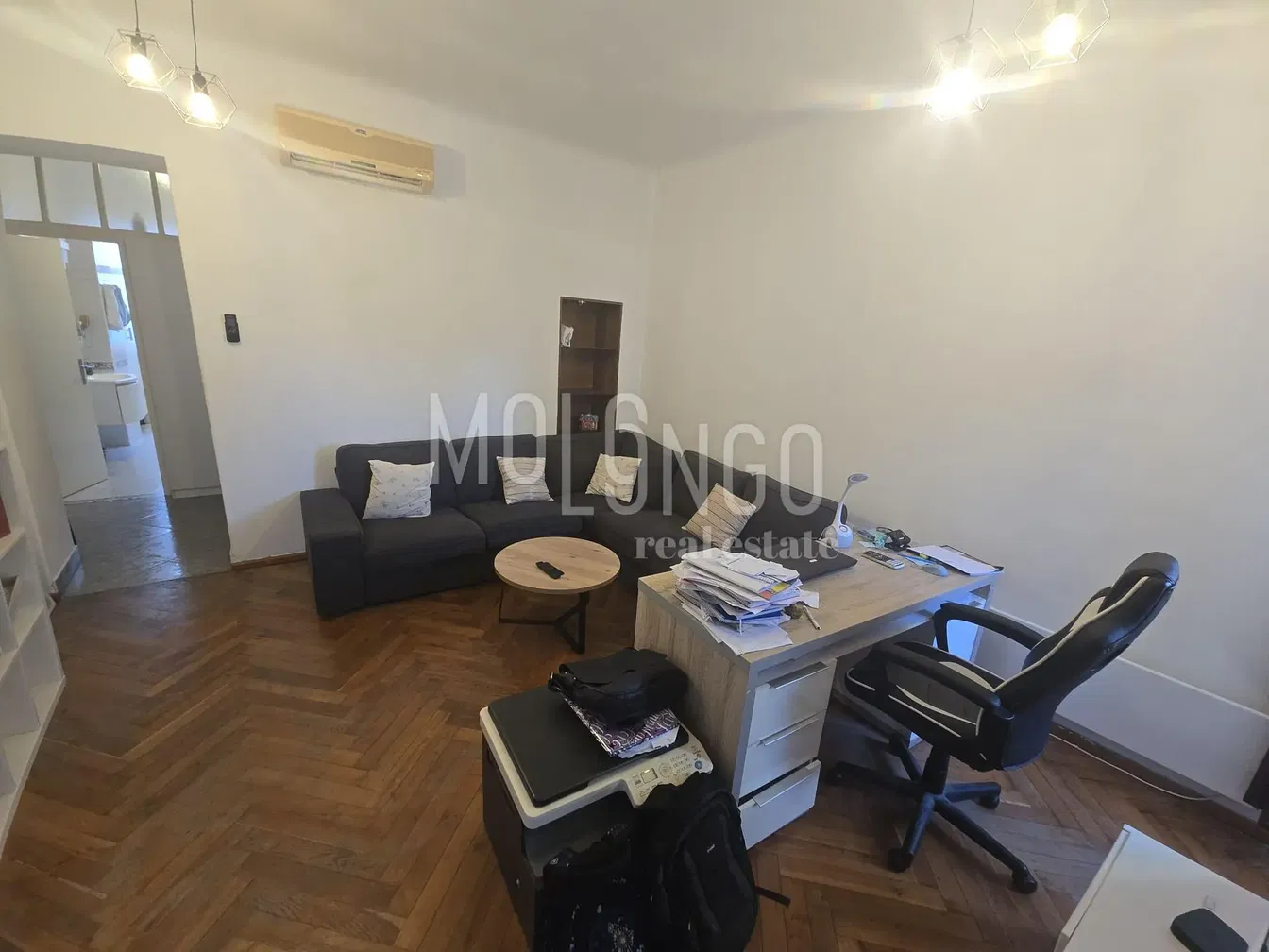 Salon; parquet, lumière naturelle