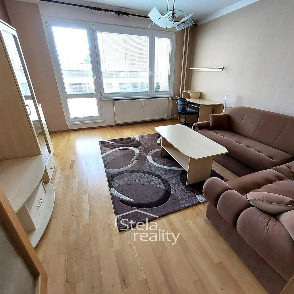 Living room; view, wood floor, natural light, modern style