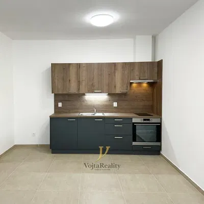 Kuhinja; kućanski aparati, pločice, renoviran, prirodna svjetlost, moderan stil