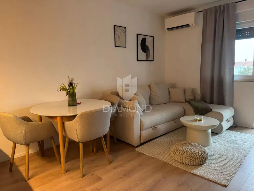 Salon; style moderne, parquet, lumière naturelle