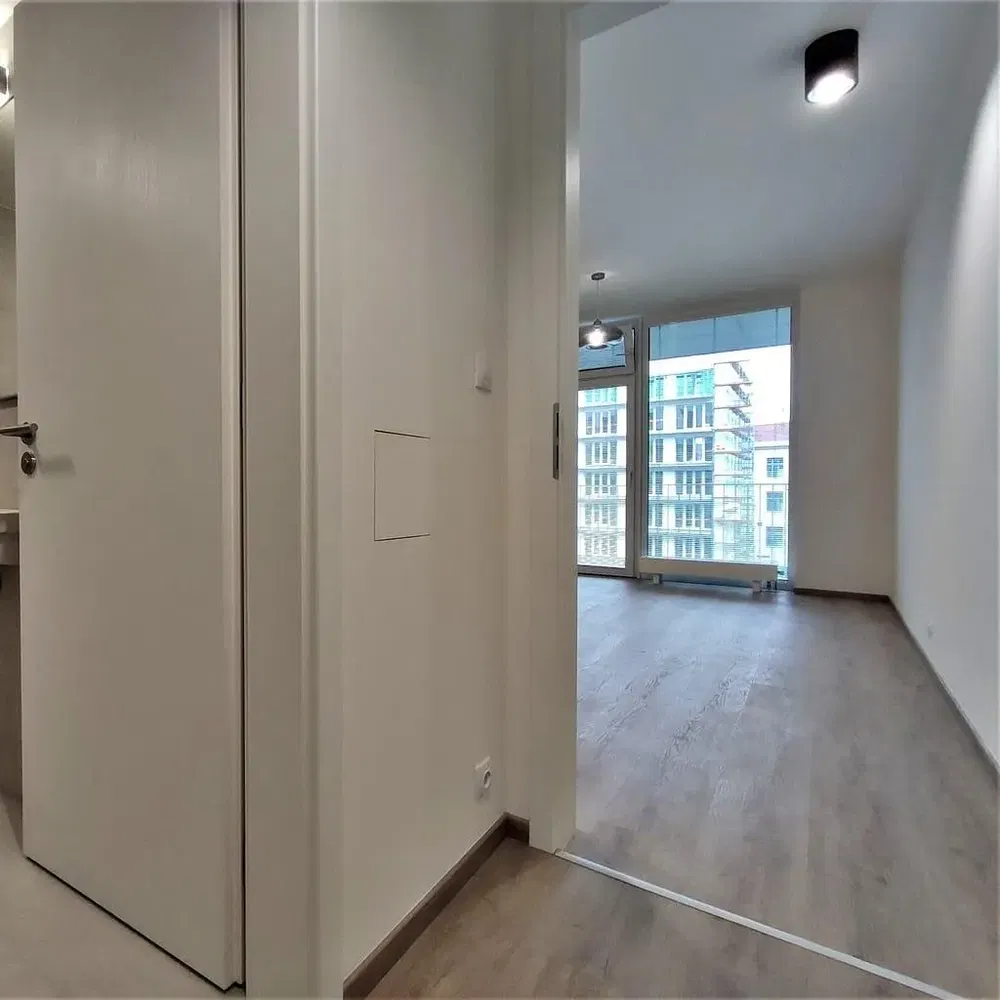 Salon; światło dzienne, widok