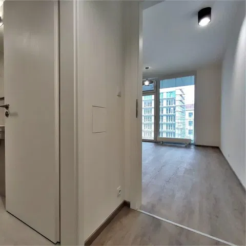 Salon; światło dzienne, widok