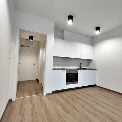 Kuchnia; sprzęt kuchenny, światło dzienne, styl nowoczesny