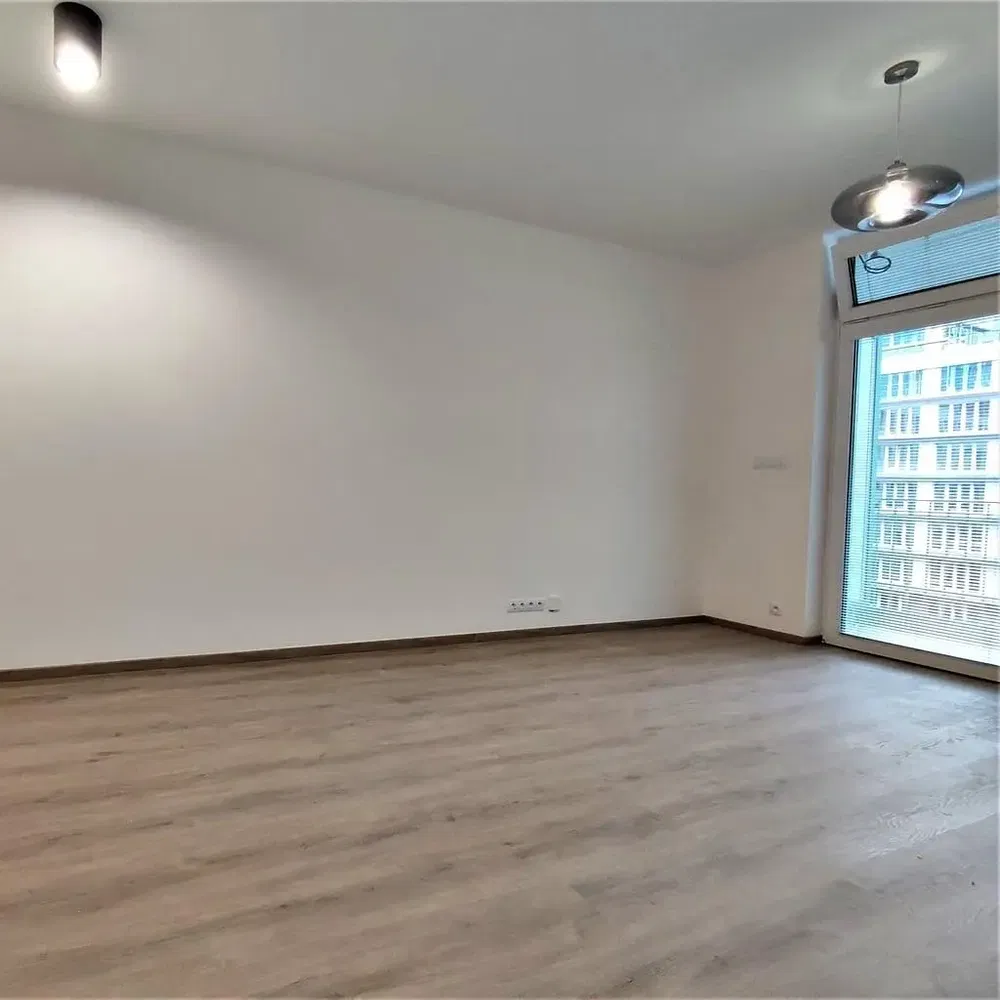 Salon; widok, podłoga drewniana, światło dzienne