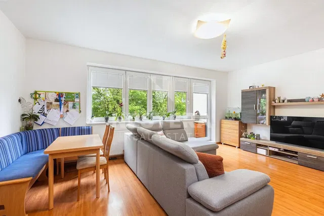 Хол; естествена светлина, дървен под, модерен стил