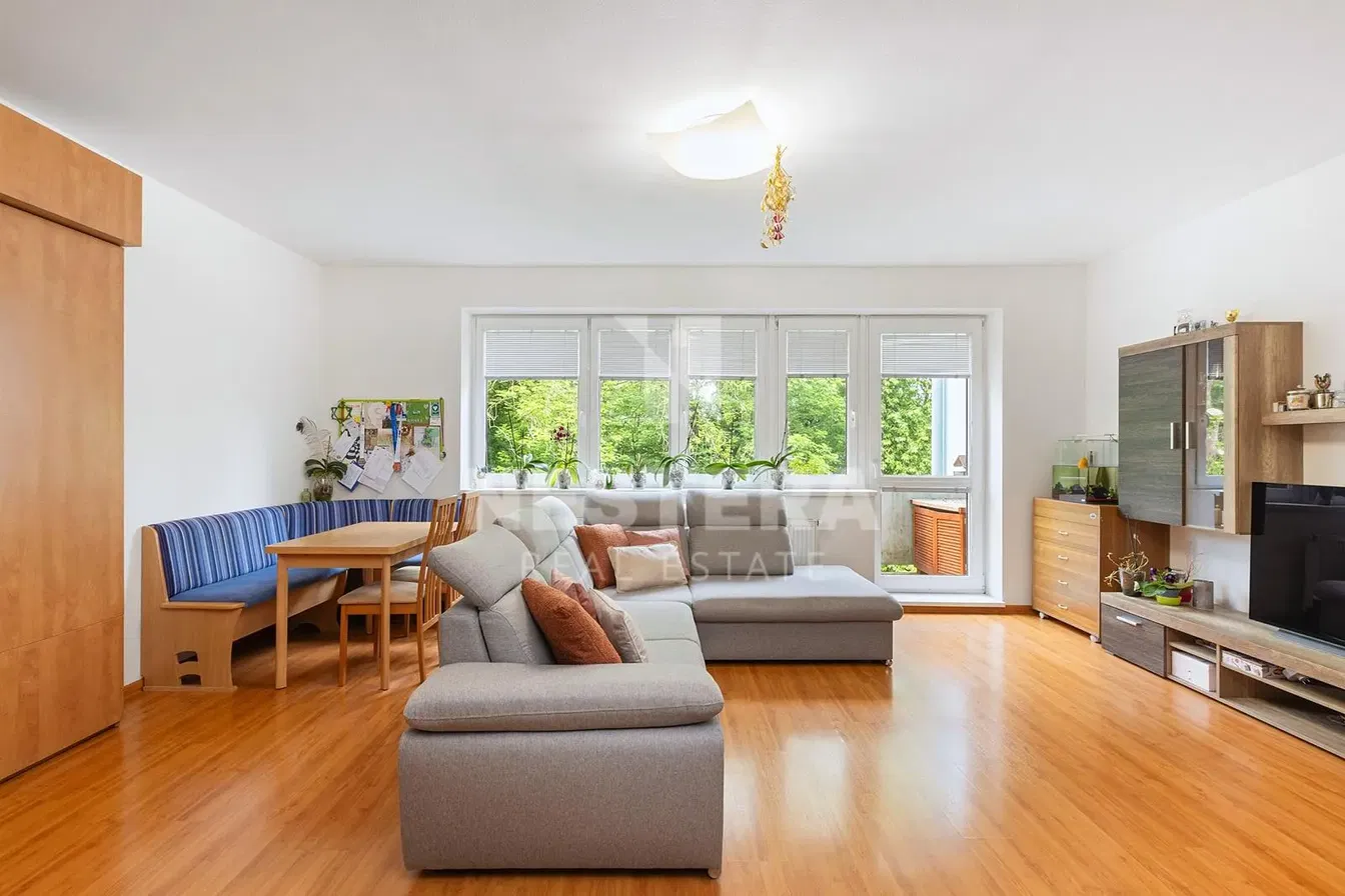 Living room; wood floor, natural light, modern style, view