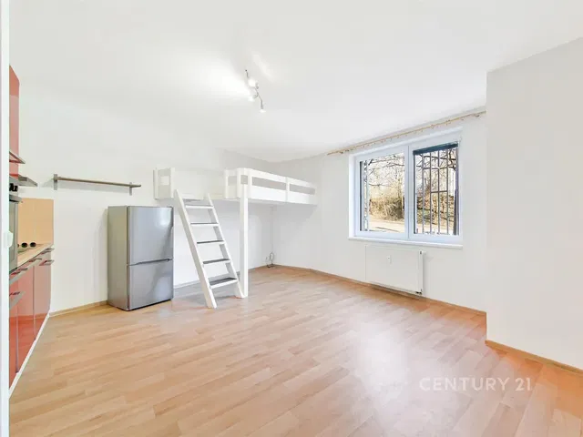 Sypialnia; sprzęt kuchenny, światło dzienne, styl nowoczesny