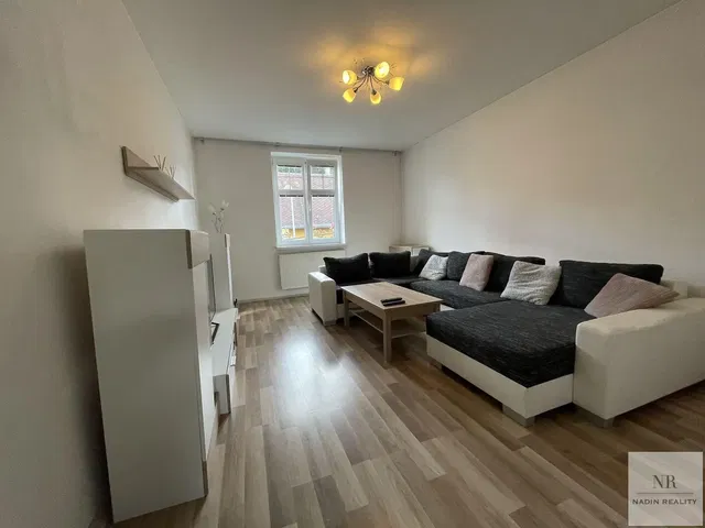 Хол; естествена светлина, модерен стил, дървен под