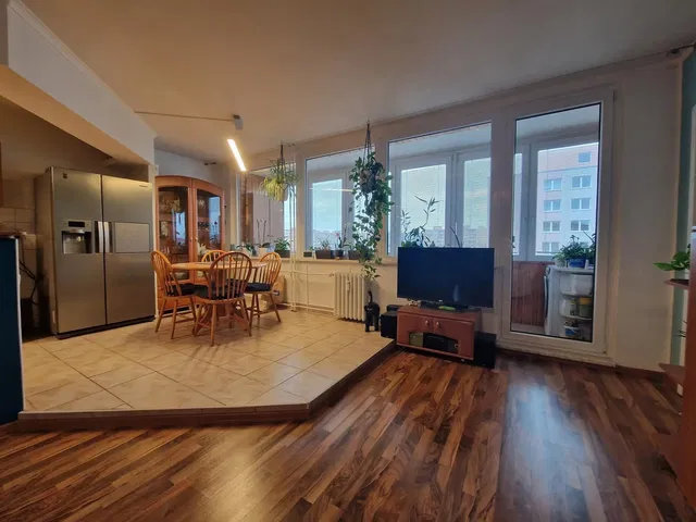Living room; tile floor, wood floor, natural light