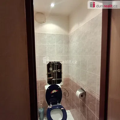 Тоалетна; плочки