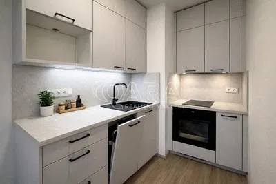 Kitchen; kitchen appliances, renovated, modern style