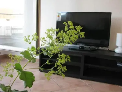 Salon; podłoga z płytek, światło dzienne