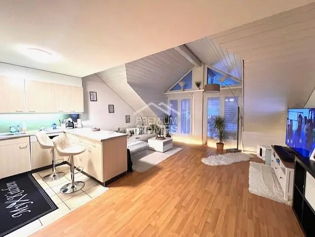 Salon; électroménager, lumière naturelle, parquet, style moderne