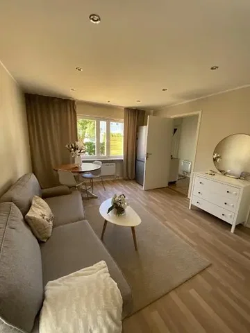 Salon; lumière naturelle, style moderne, parquet