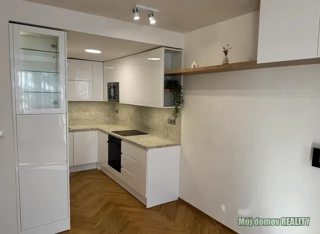 Кухня; кухненски уреди, модерен стил, ремонтиран