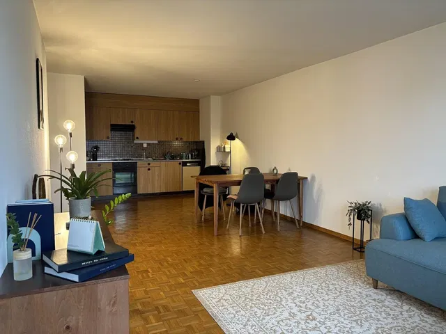 Дневна соба; природно светло, модерни стил