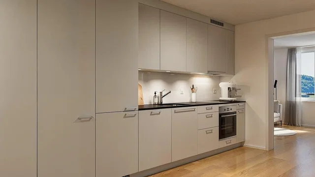 Küche; küchengeräte, blick, holzboden, tageslicht, moderner stil, renoviert