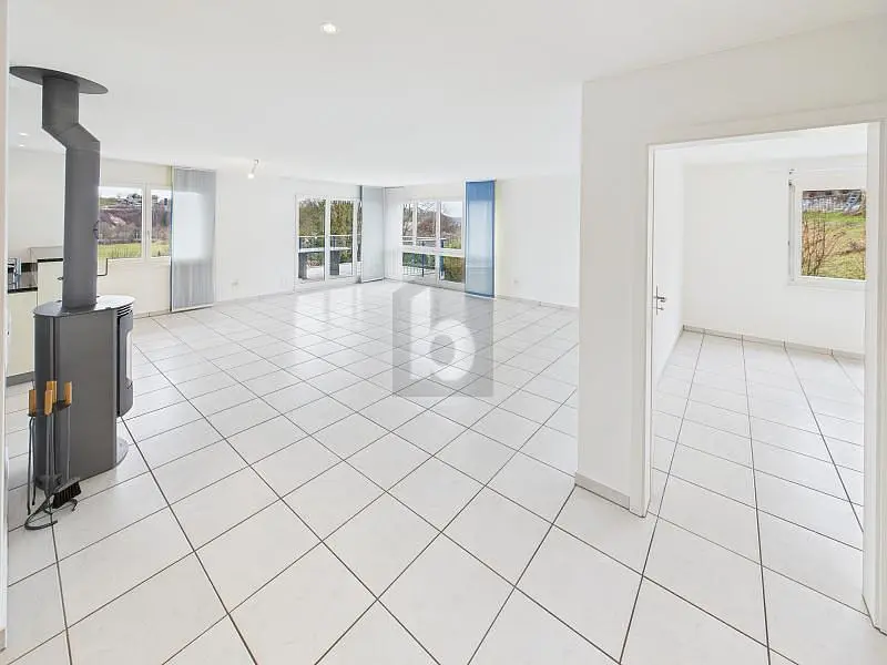 Wohnzimmer; fliesenboden, kamin, tageslicht, blick