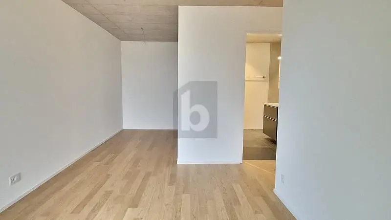 Дневна соба; дрвени под, природно светло