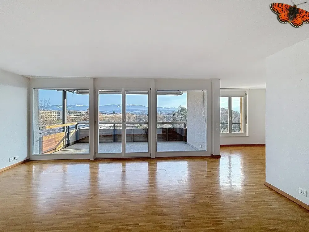 Salon; vue, parquet, lumière naturelle