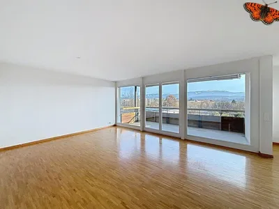 Salon; vue, parquet, lumière naturelle