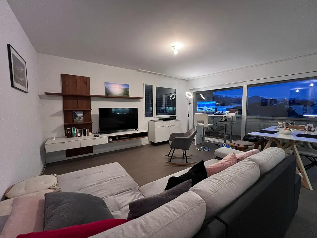 Living room; view, natural light