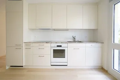 Kitchen; kitchen appliances, natural light, modern style, wood floor
