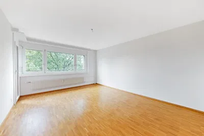 Living room; view, wood floor, natural light