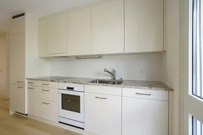 Kitchen; kitchen appliances, wood floor, natural light, modern style, renovated
