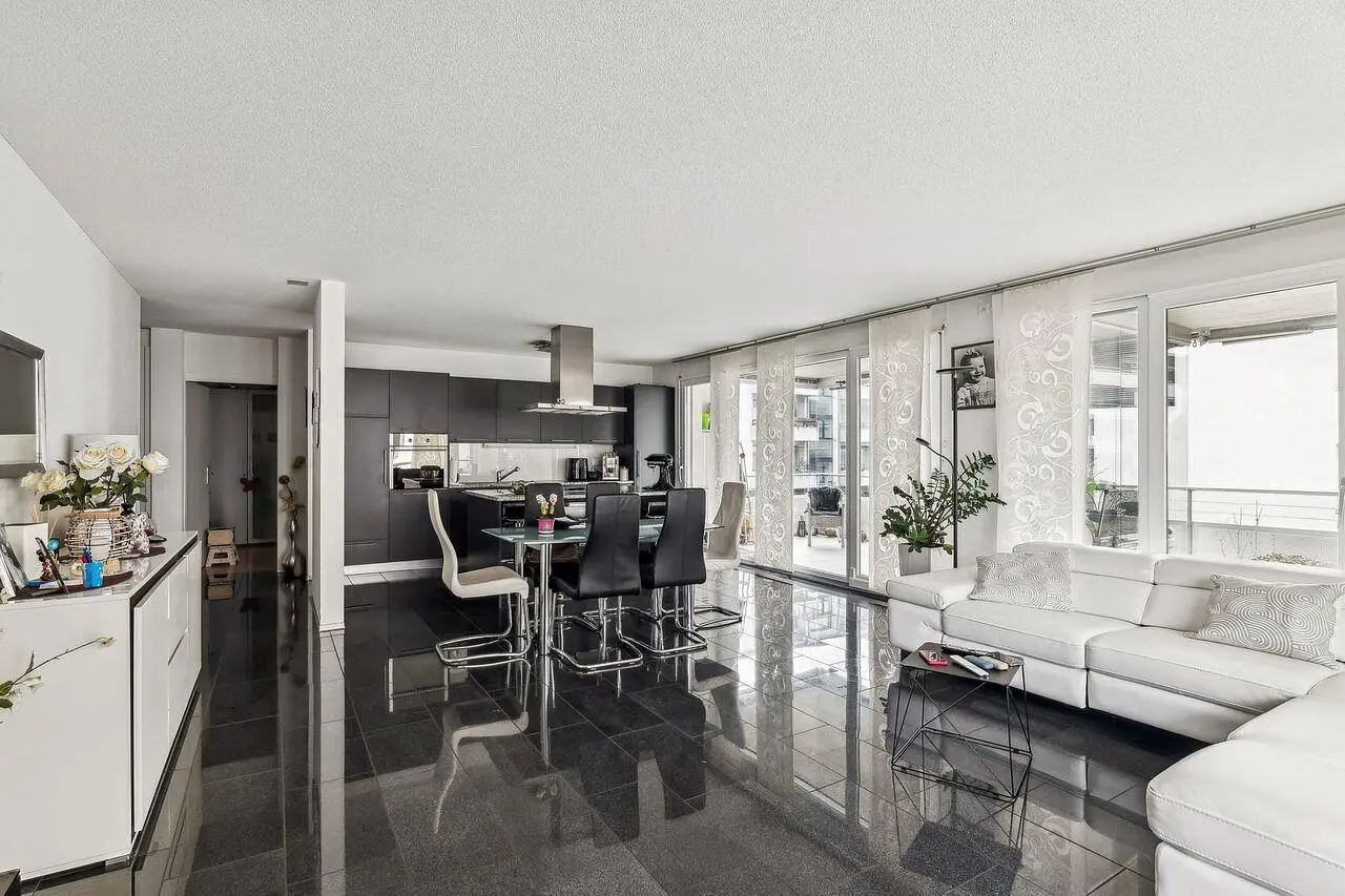 Salon; carrelage, électroménager, lumière naturelle, style moderne