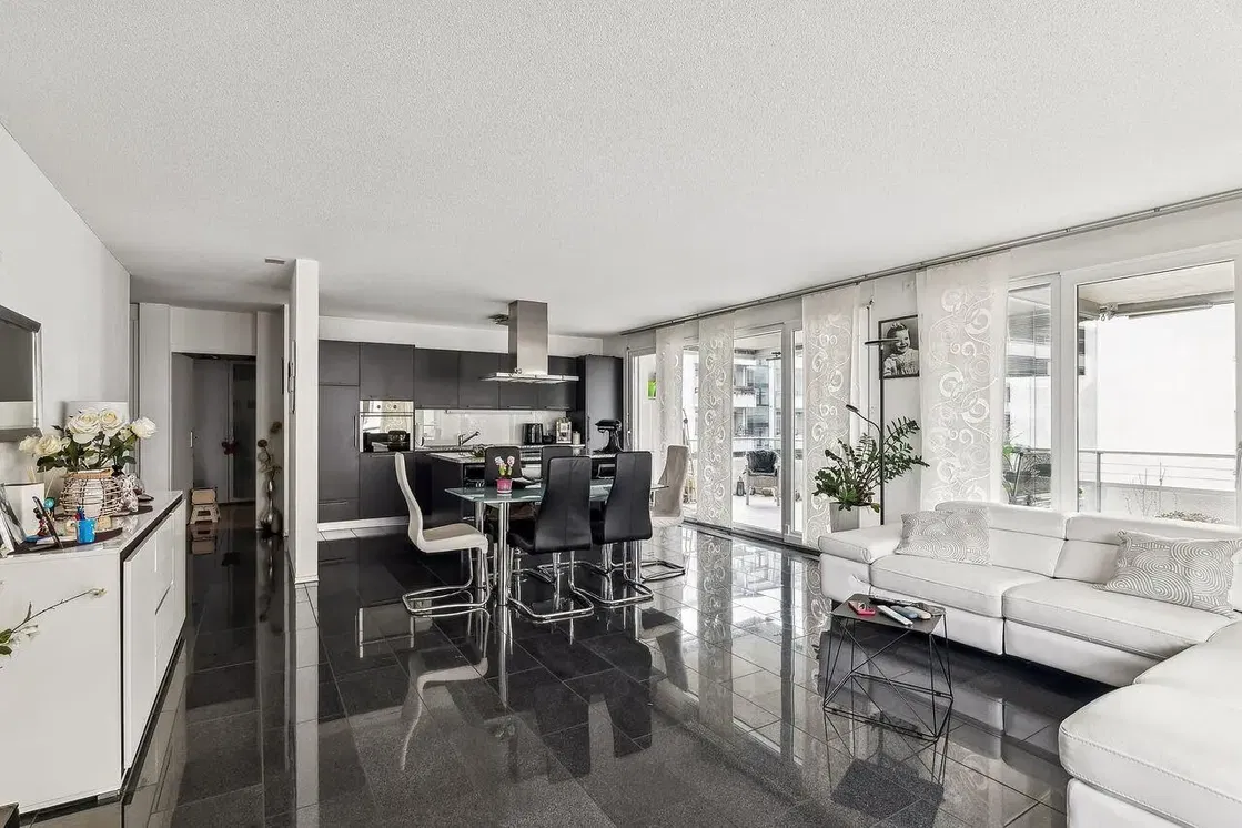 Salon; carrelage, électroménager, lumière naturelle, style moderne