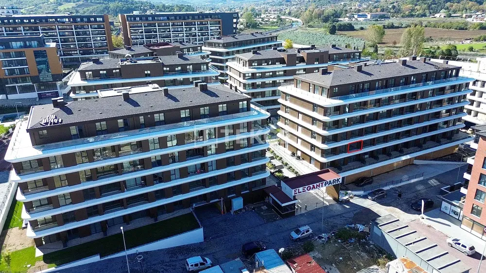 Kuća i okolina; pogled