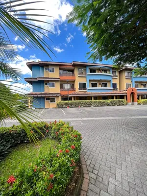 المنزل والمناطق المحيطة; ضوء طبيعي