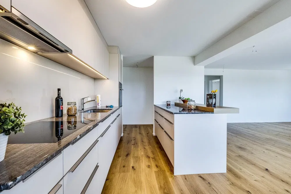 Kitchen; kitchen appliances, natural light, modern style, wood floor