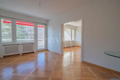 Salon; vue, parquet, lumière naturelle