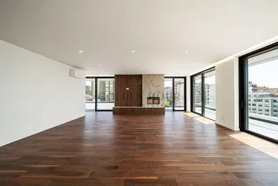 Salon; vue, parquet, cheminée, lumière naturelle, style moderne, rénové